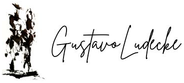 Studio Gustavo Ludecke